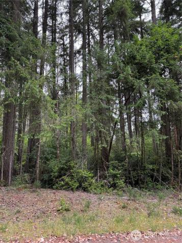 12216 Wapato Road Anderson Island WA 98303