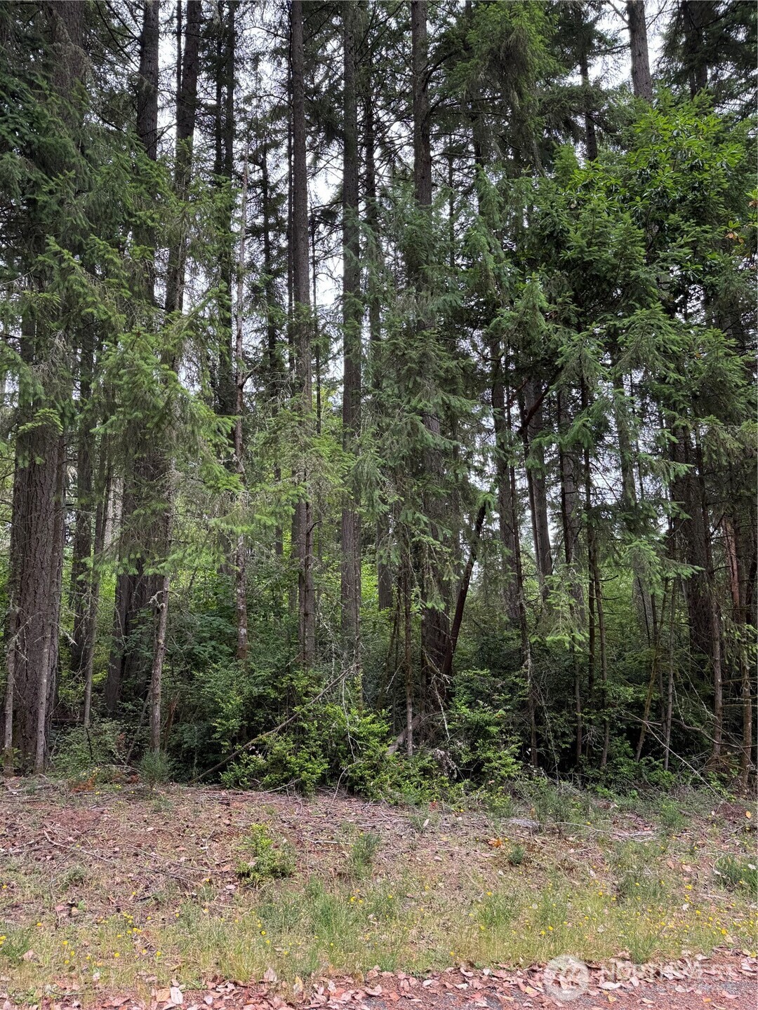 12216 Wapato Road Anderson Island WA 98303