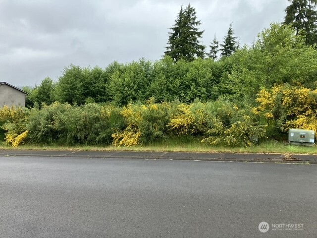 3261 Sanderling Drive Hoquiam WA 98550