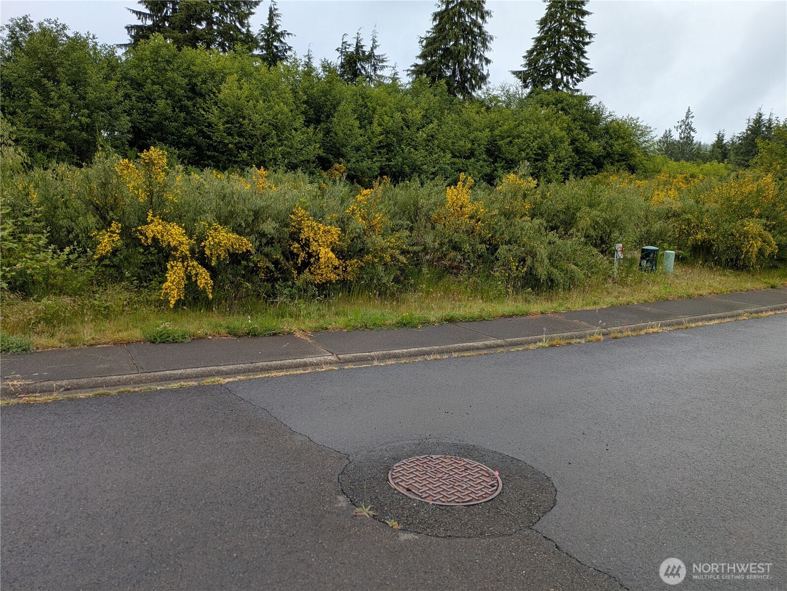 3261 Sanderling Drive Hoquiam WA 98550