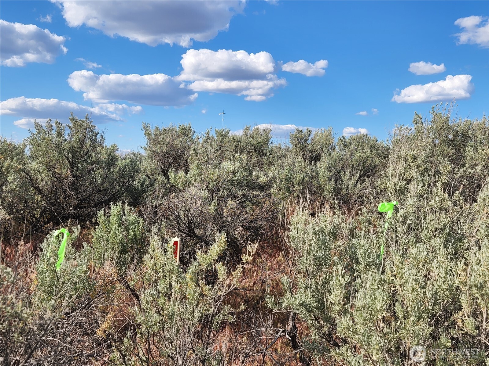 344 Oatman (Lots 15 & 7) Place Ephrata WA 98823
