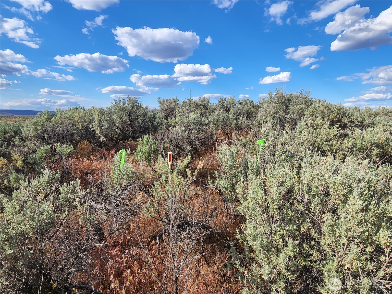344 Oatman (Lots 15 & 7) Place Ephrata WA 98823