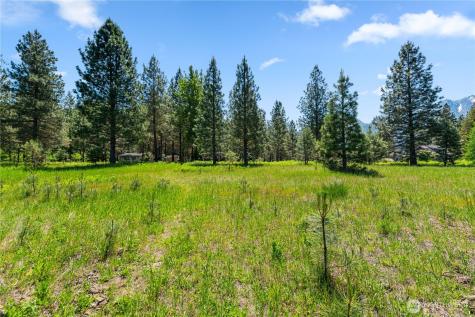 0 Shore Street Leavenworth WA 98826