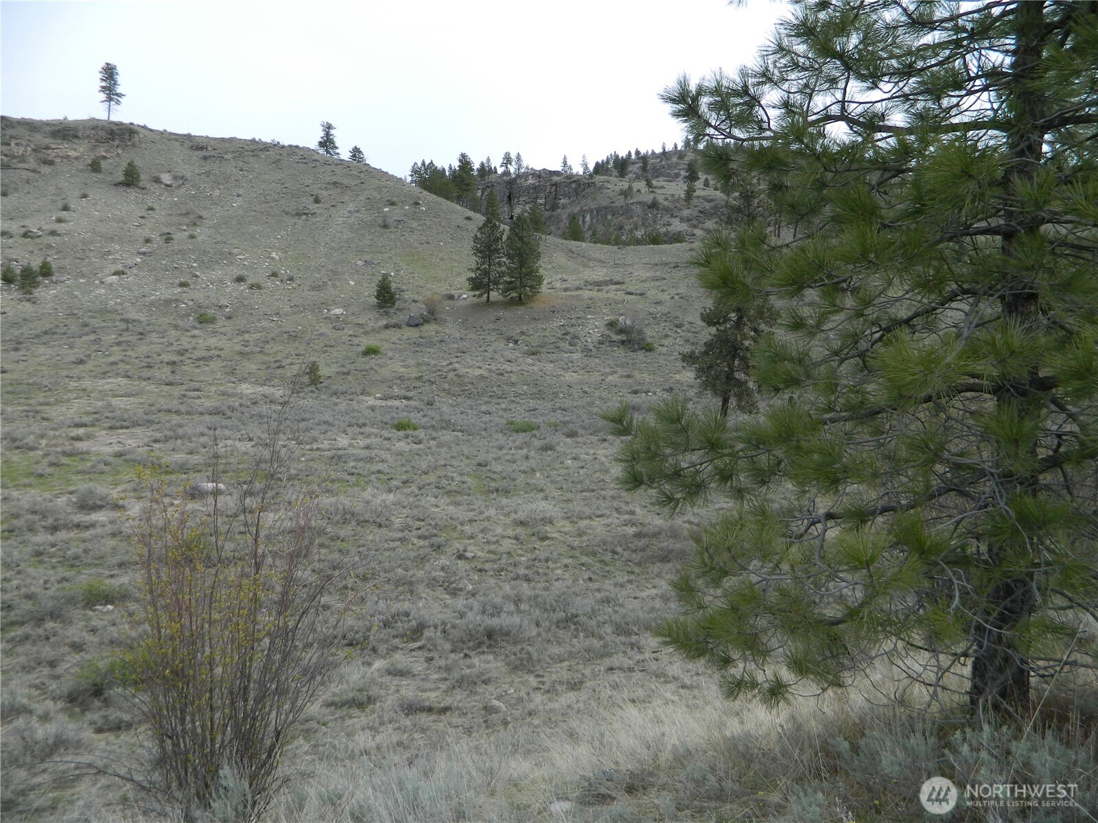 11 Tbd Six Gun Way Tonasket WA 98855
