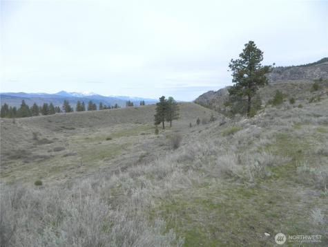 11 Tbd Six Gun Way Tonasket WA 98855