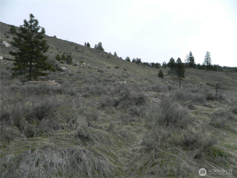 11 Tbd Six Gun Way Tonasket WA 98855