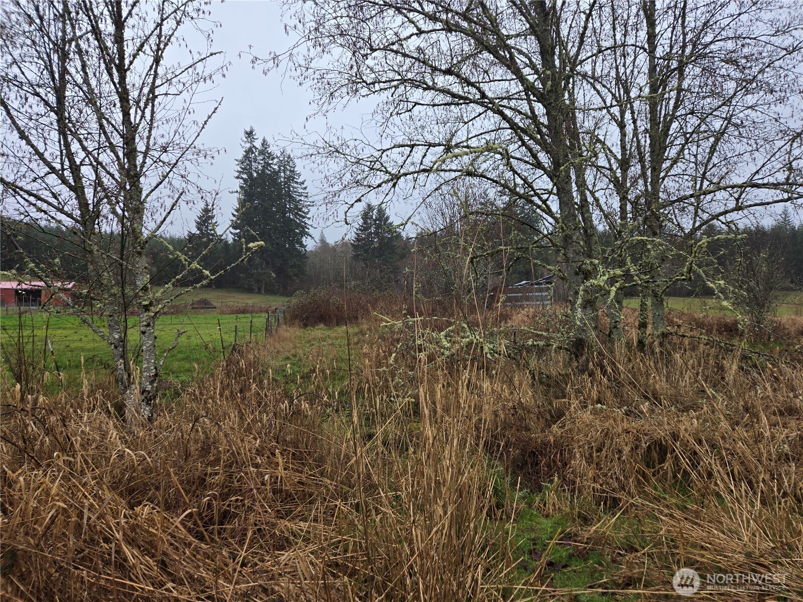 754 Cousins Road Chehalis WA 98532
