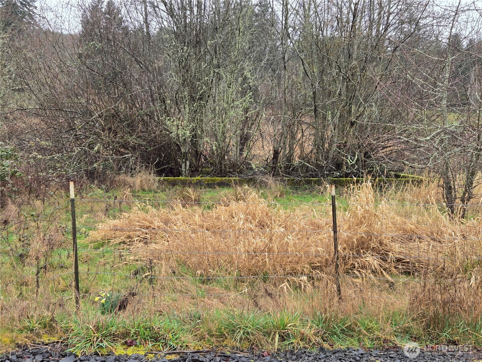 754 Cousins Road Chehalis WA 98532