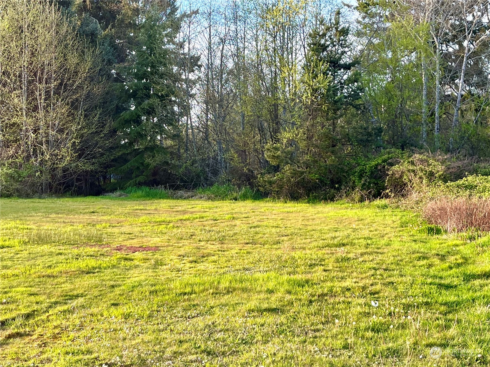 520 W Newell Street Westport WA 98595