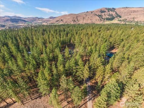 96 Twin Lakes Drive Winthrop WA 98862