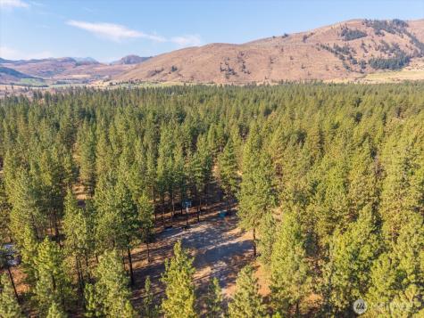 96 Twin Lakes Drive Winthrop WA 98862