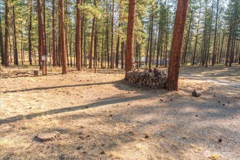 96 Twin Lakes Drive Winthrop WA 98862