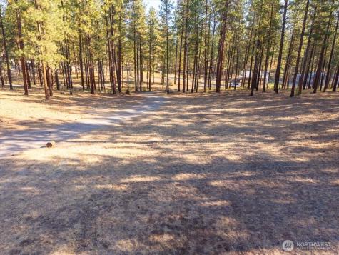 96 Twin Lakes Drive Winthrop WA 98862