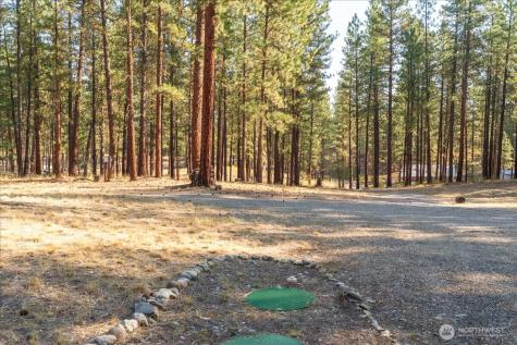 96 Twin Lakes Drive Winthrop WA 98862