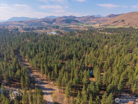 96 Twin Lakes Drive Winthrop WA 98862