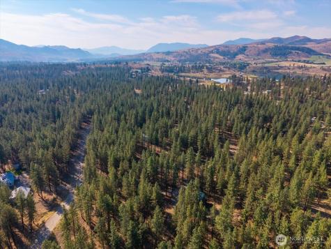 96 Twin Lakes Drive Winthrop WA 98862
