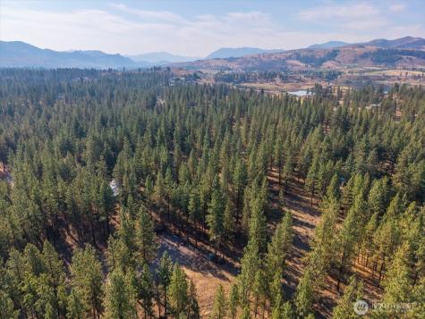 96 Twin Lakes Drive Winthrop WA 98862