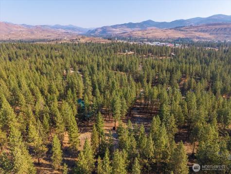 96 Twin Lakes Drive Winthrop WA 98862