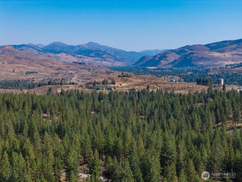 96 Twin Lakes Drive Winthrop WA 98862