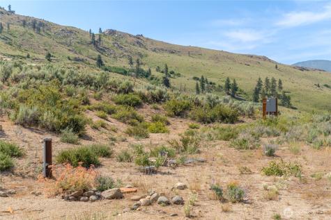 15 Cowboy Road Pateros WA 98846