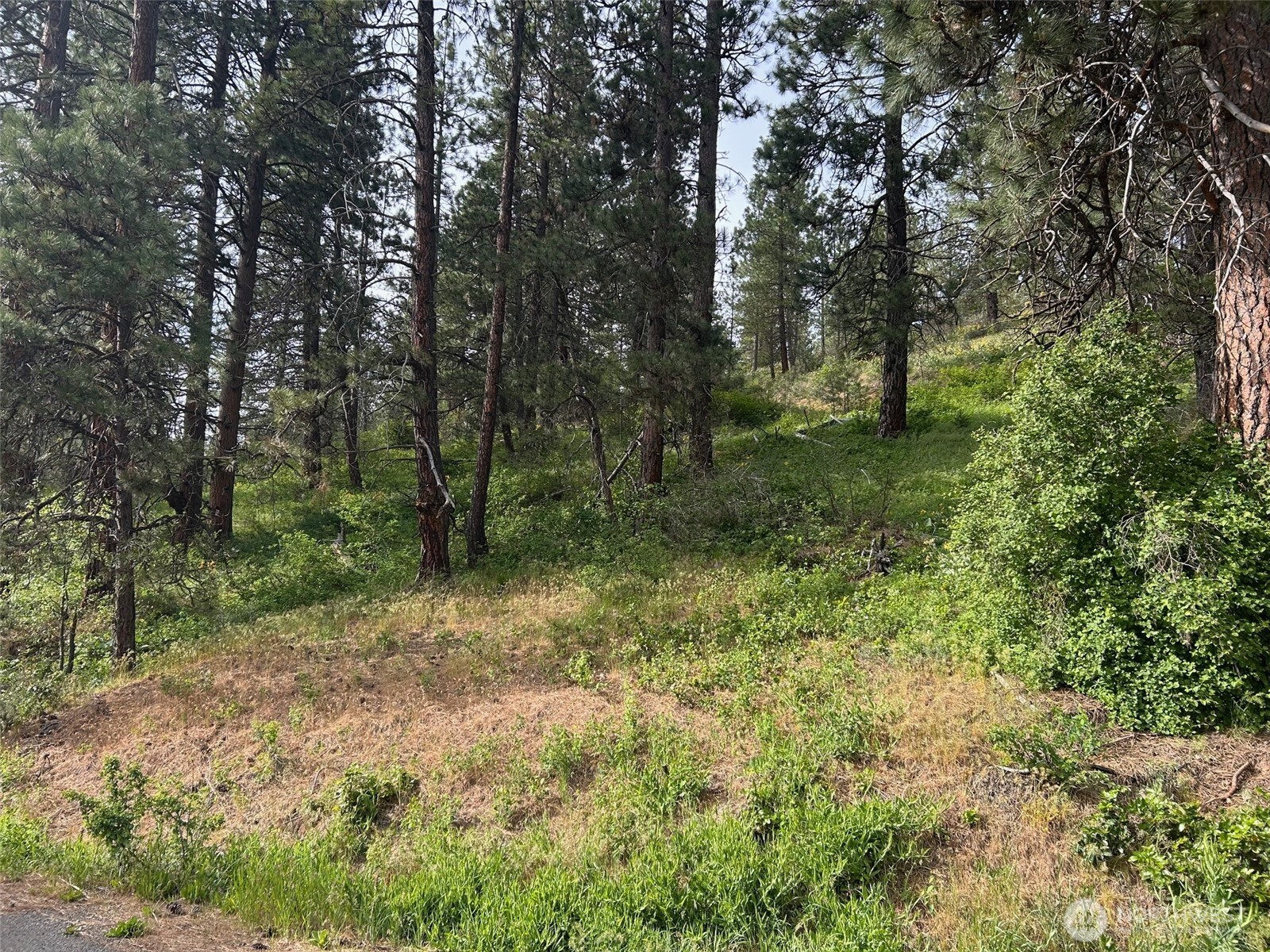 0 W 6th Street Cle Elum WA 98922