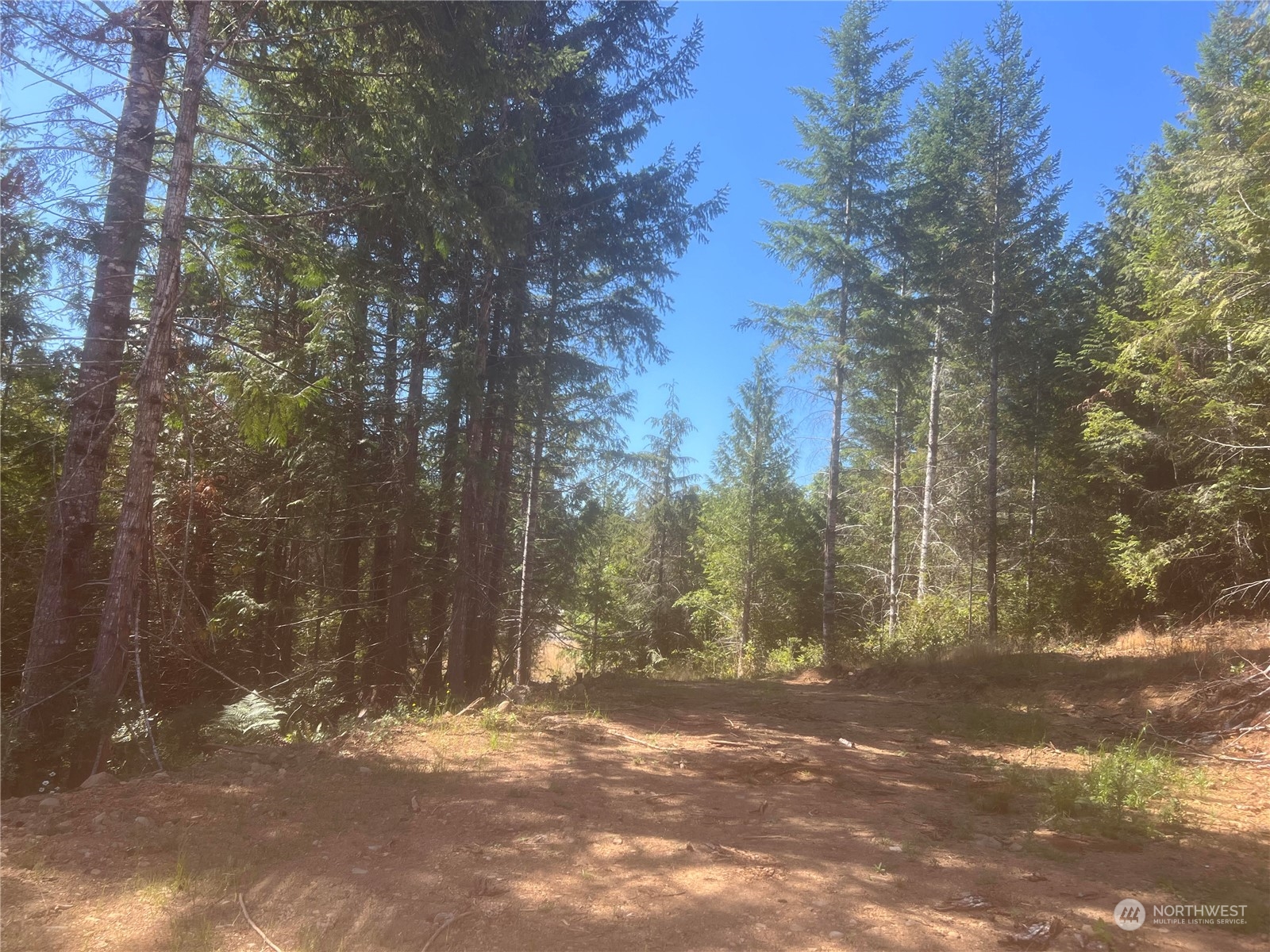 1 Mount Jupiter Road Brinnon WA 98320