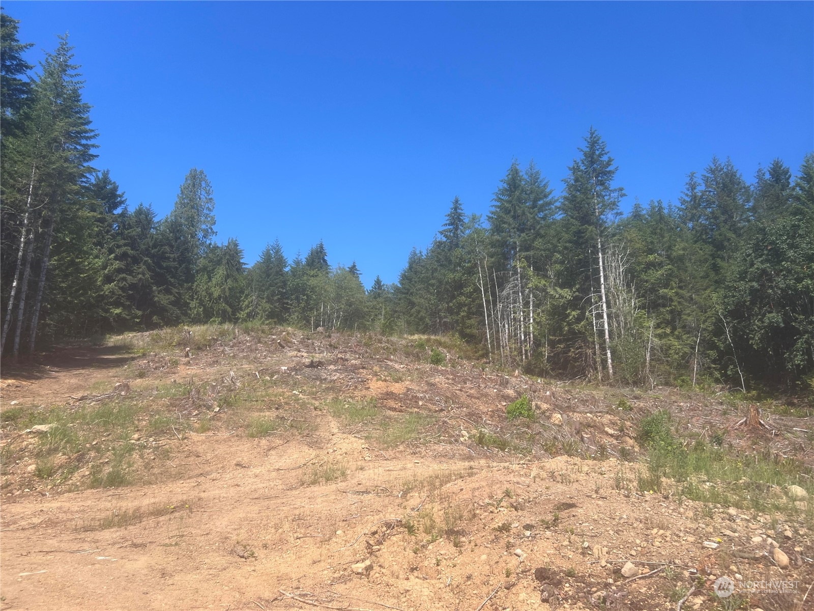 1 Mount Jupiter Road Brinnon WA 98320