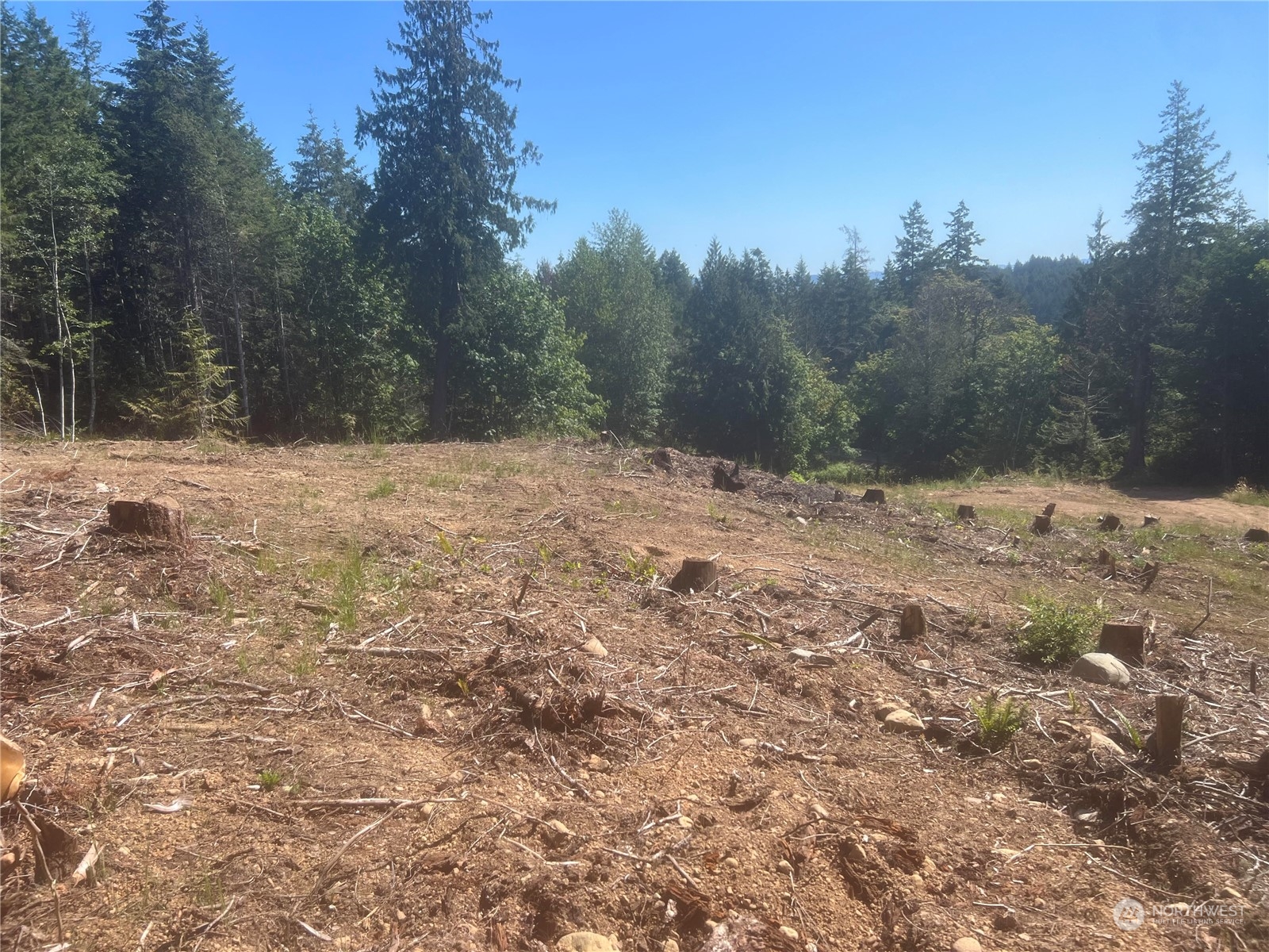 1 Mount Jupiter Road Brinnon WA 98320