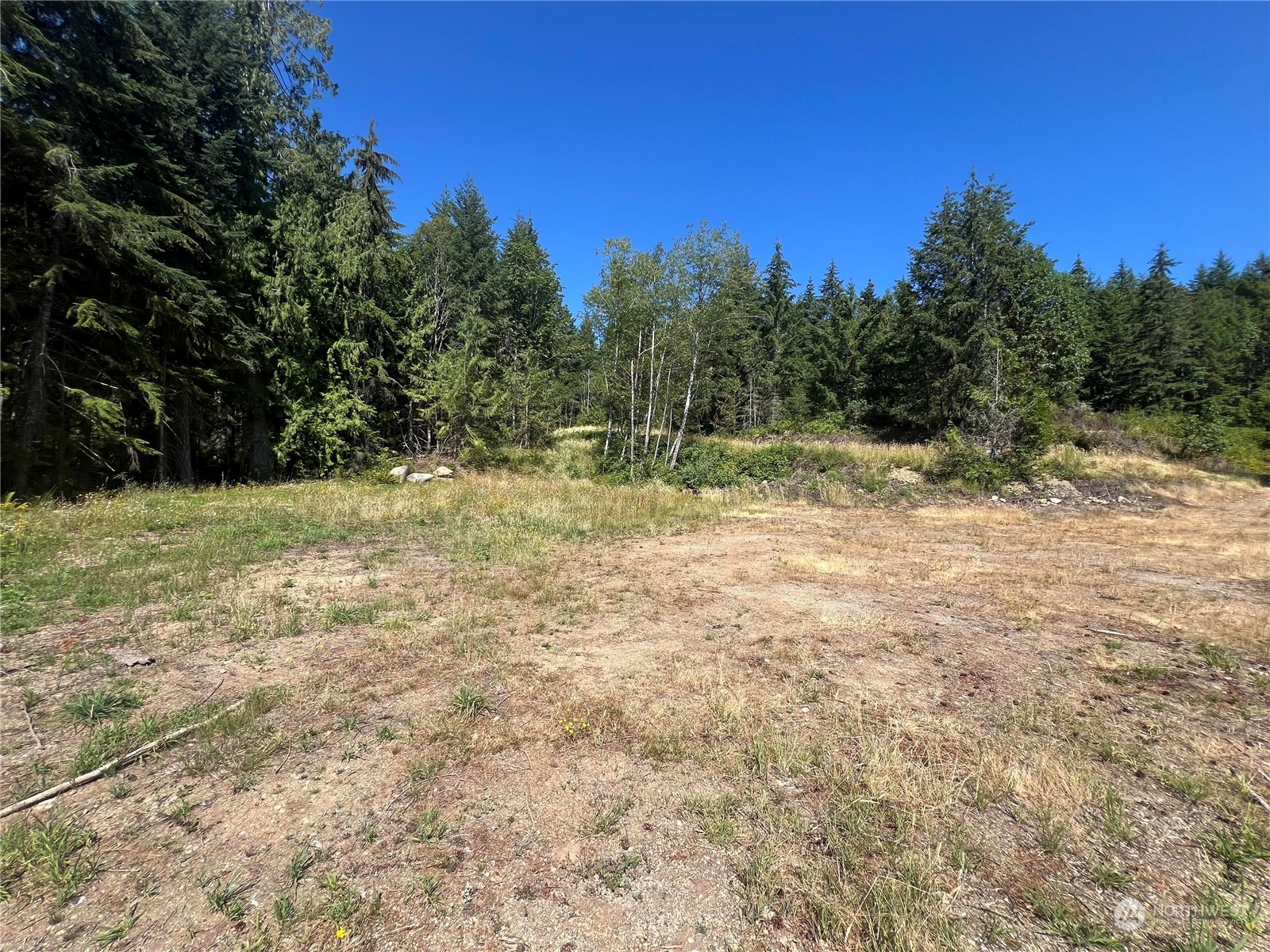 1 Mount Jupiter Road Brinnon WA 98320
