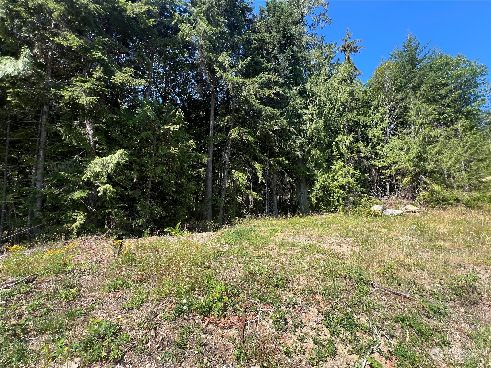1 Mount Jupiter Road Brinnon WA 98320