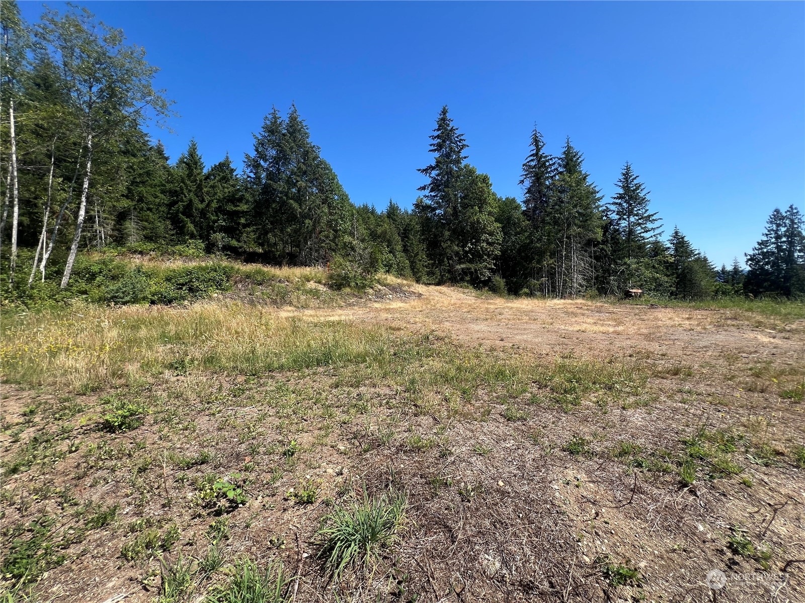 1 Mount Jupiter Road Brinnon WA 98320