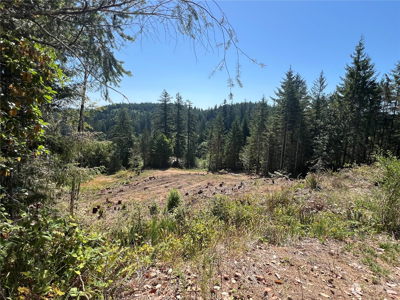1 Mount Jupiter Road Brinnon WA 98320