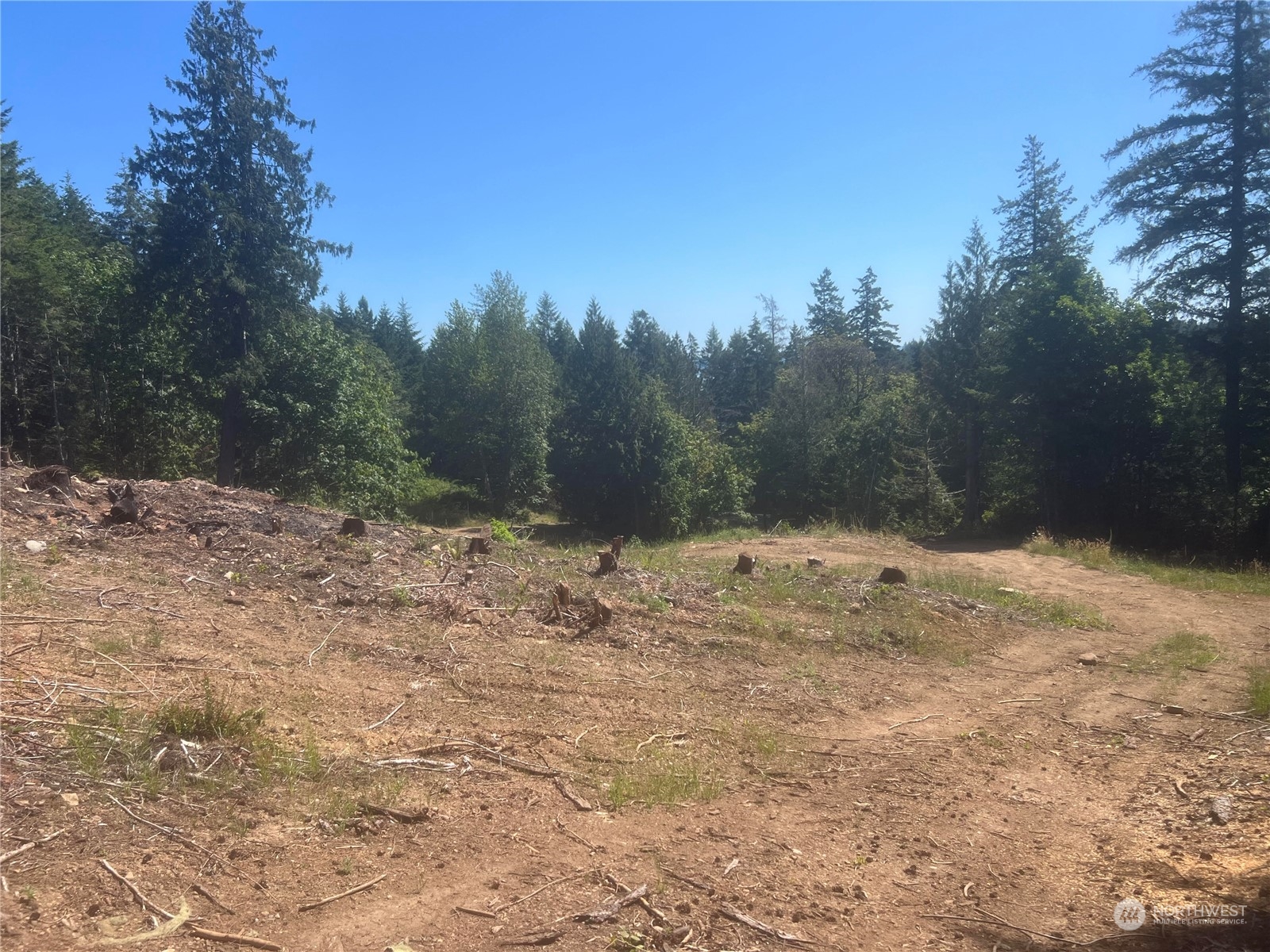 1 Mount Jupiter Road Brinnon WA 98320