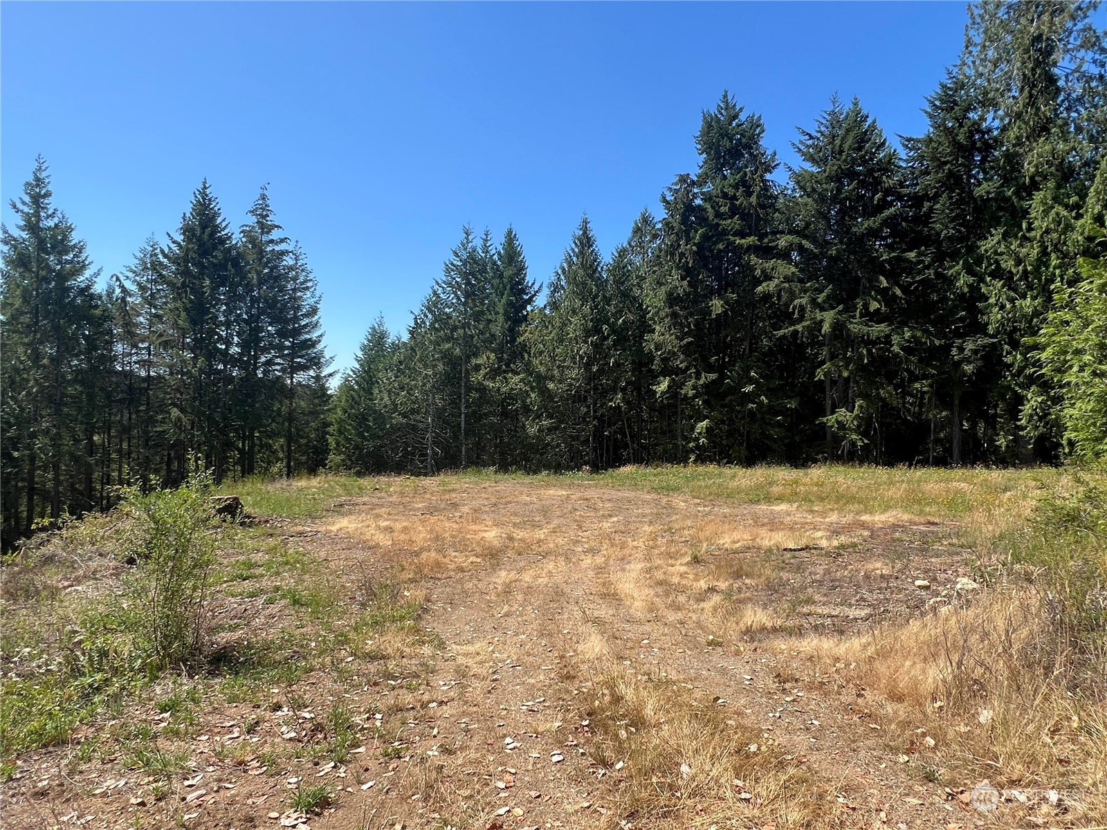 1 Mount Jupiter Road Brinnon WA 98320
