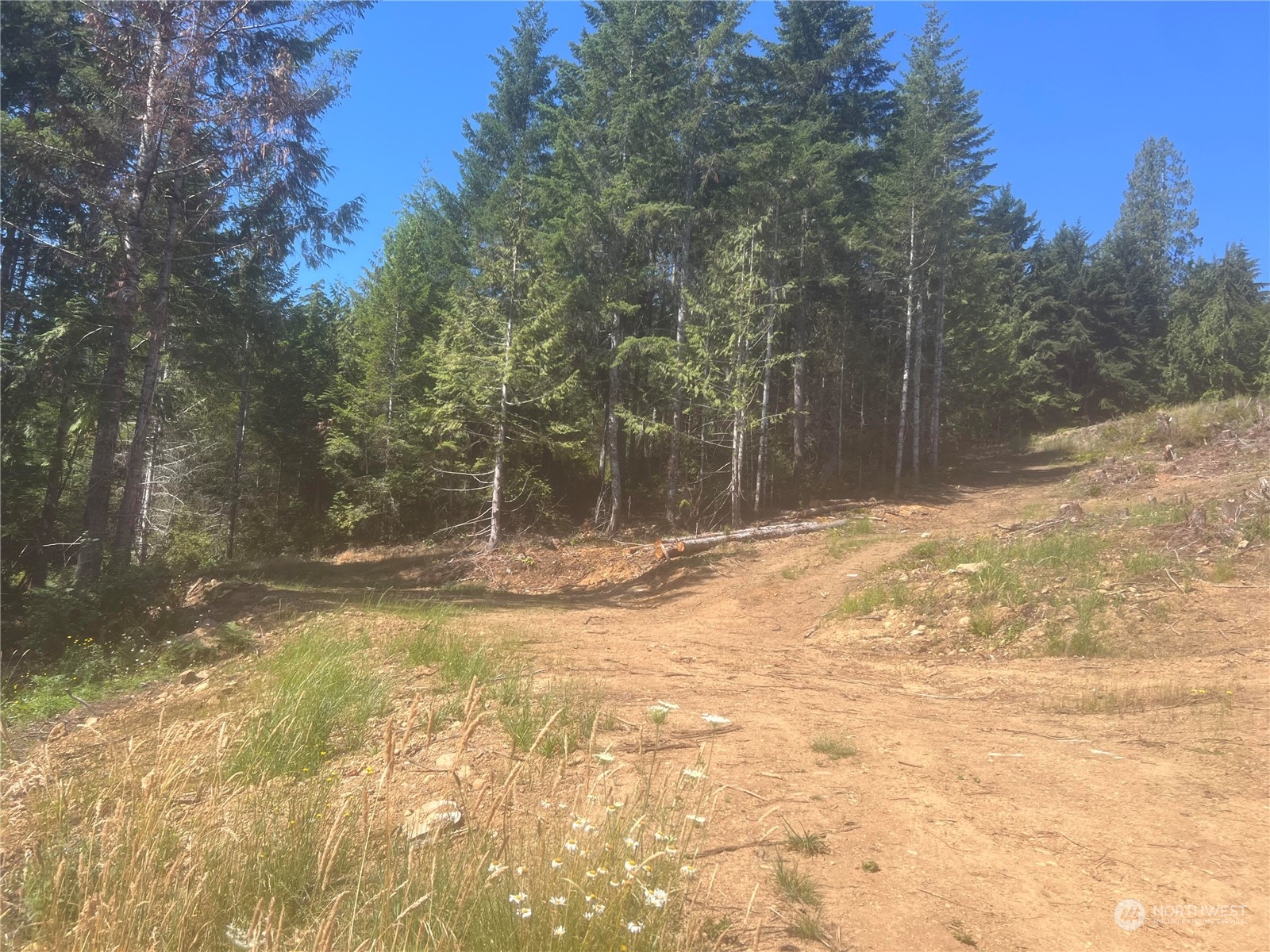 1 Mount Jupiter Road Brinnon WA 98320