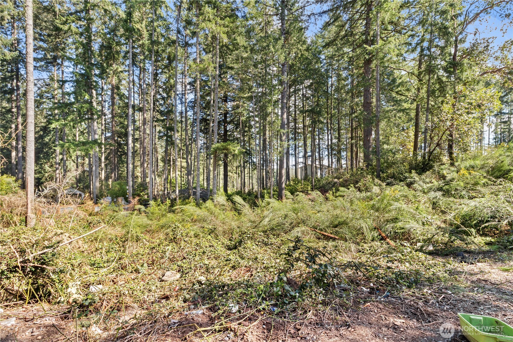 19025 SW 23rd Street Lakebay WA 98349