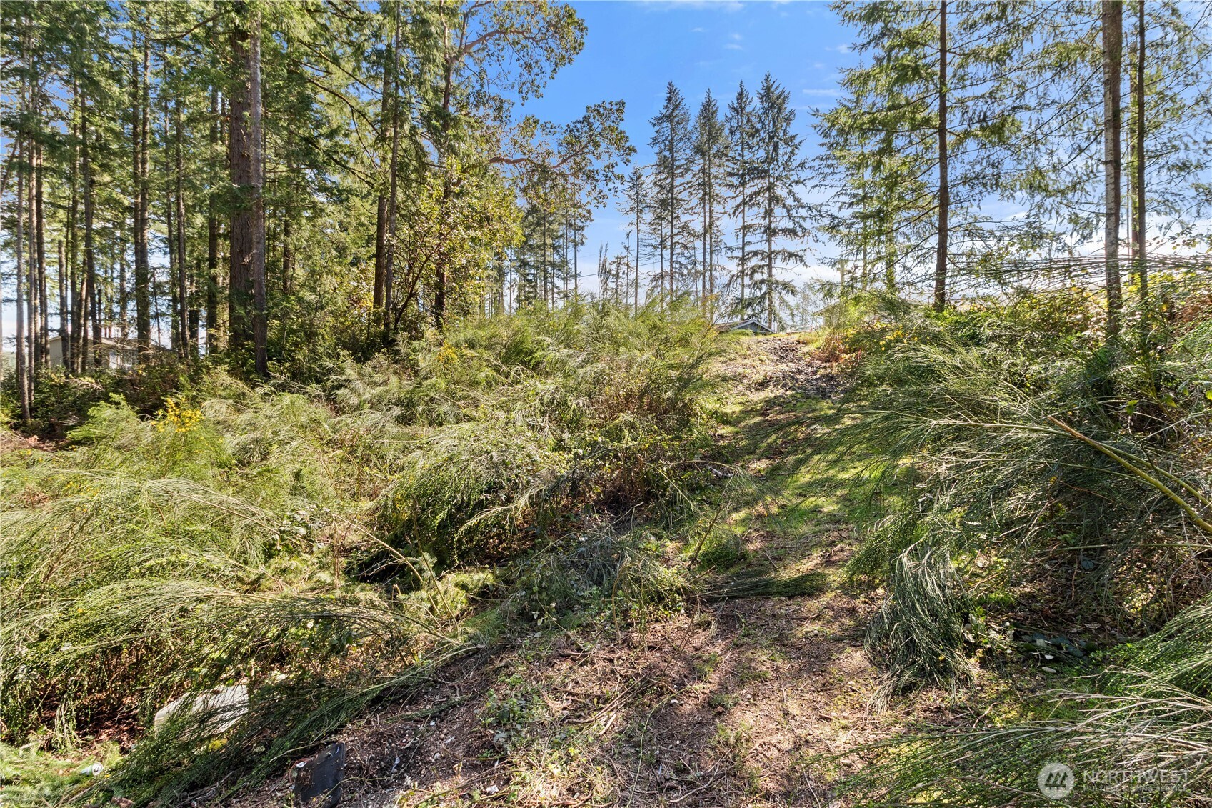 19025 SW 23rd Street Lakebay WA 98349