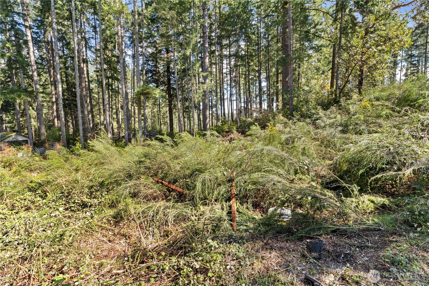 19025 SW 23rd Street Lakebay WA 98349