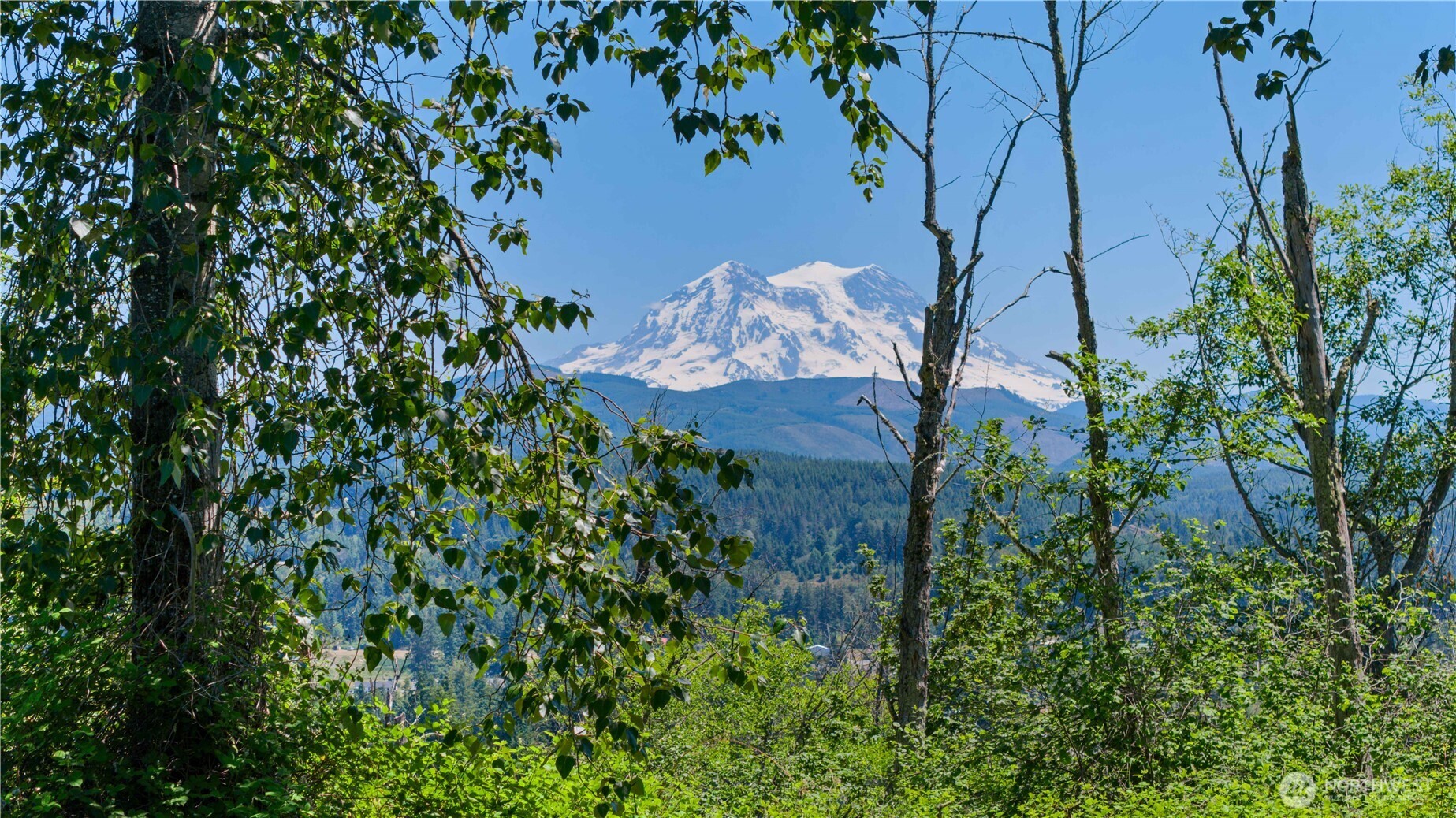 380 Dow Ridge Drive N Eatonville WA 98328