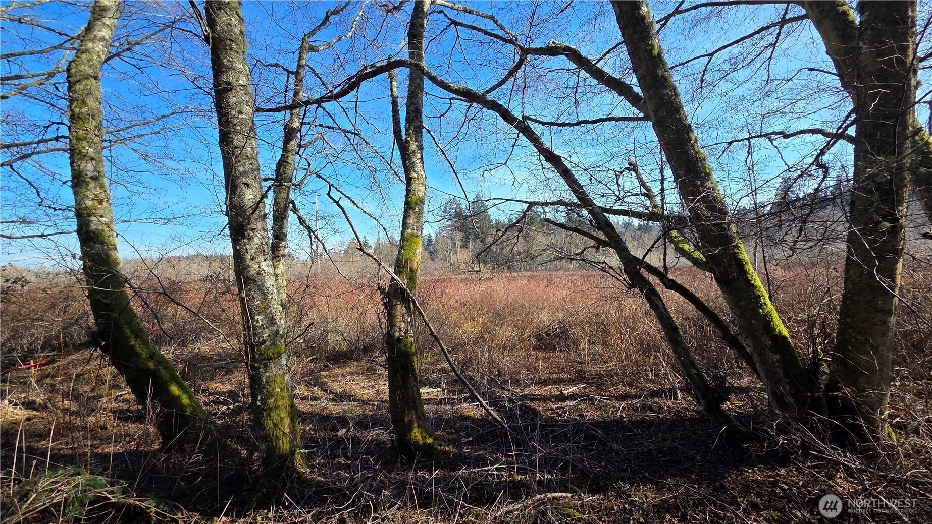 5707 Woodard Avenue Freeland WA 98249