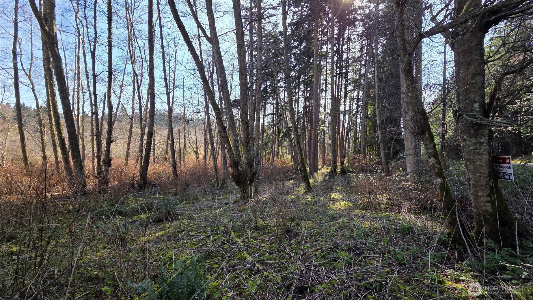 5707 Woodard Avenue Freeland WA 98249