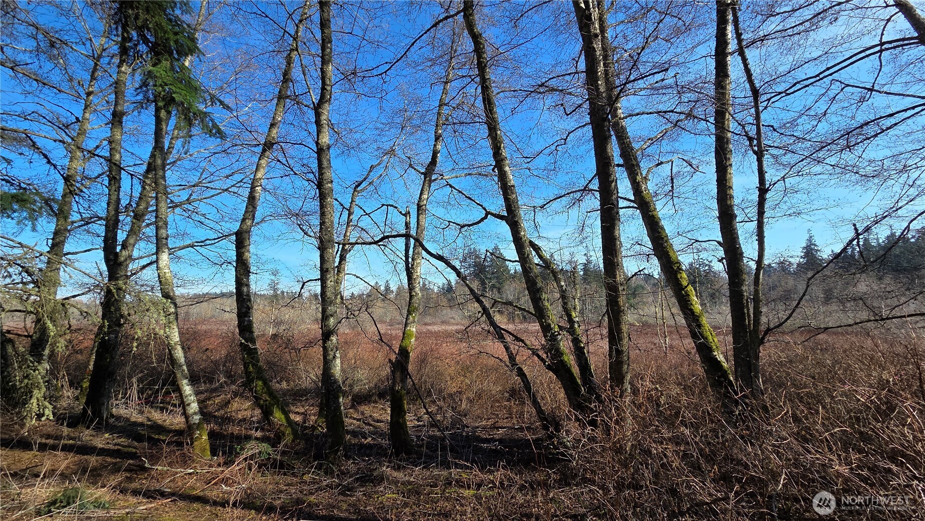 5707 Woodard Avenue Freeland WA 98249