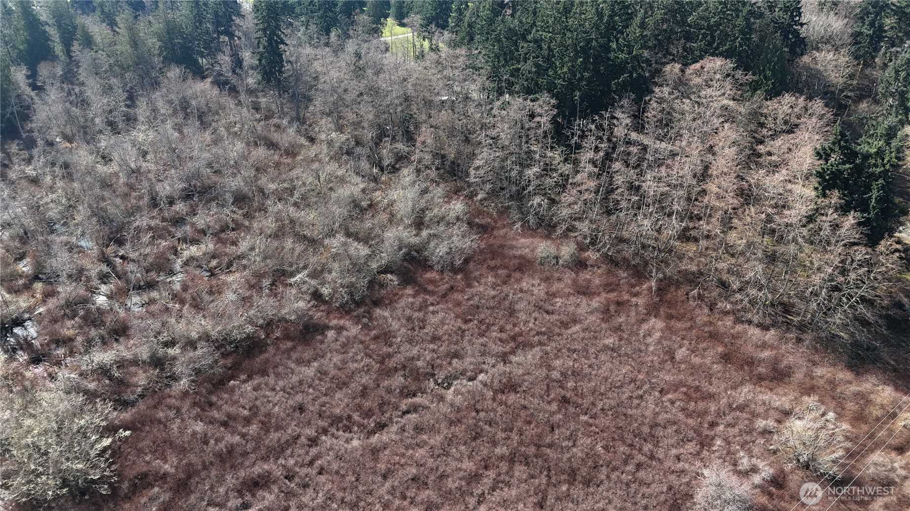 5707 Woodard Avenue Freeland WA 98249