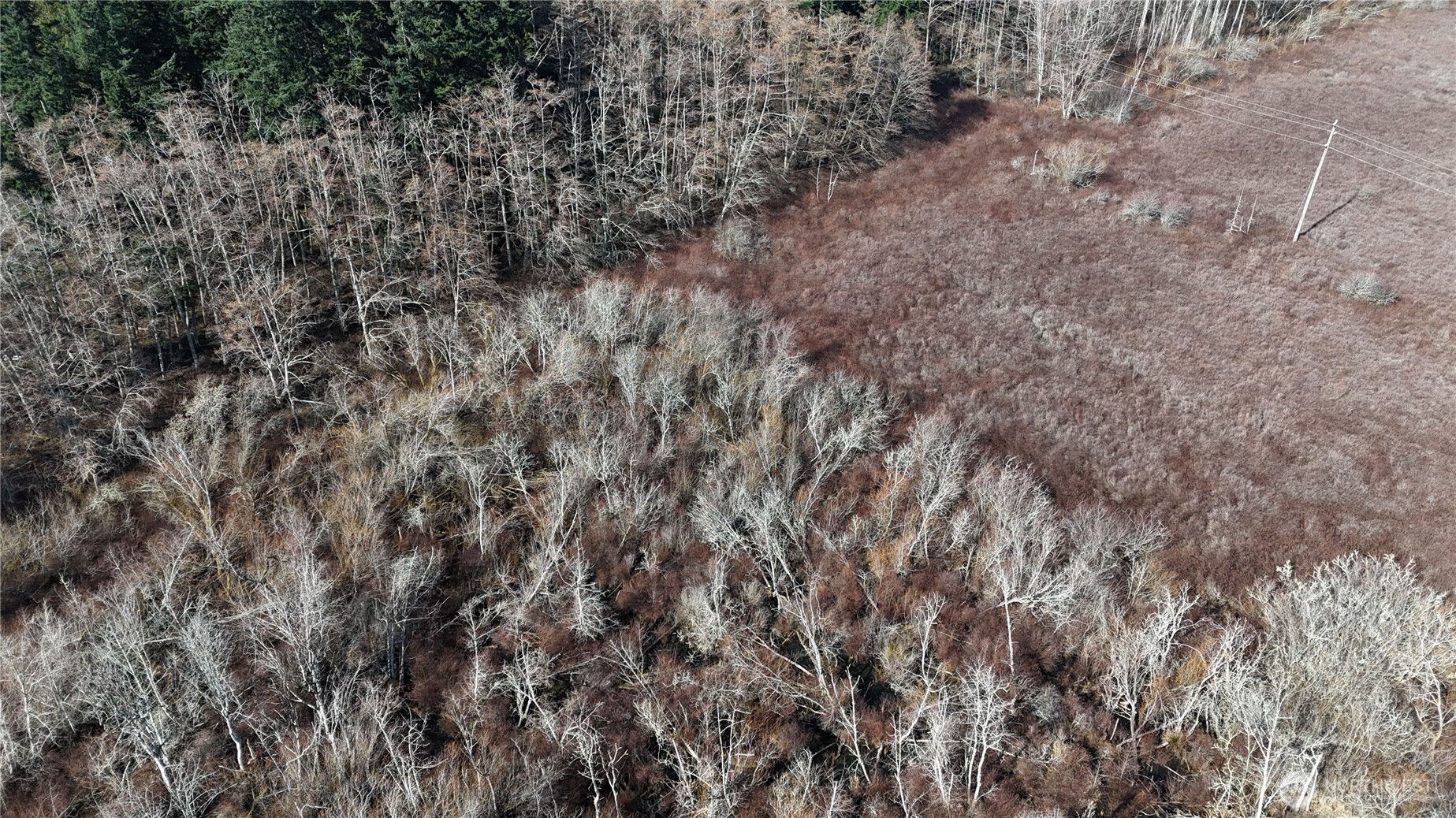 5707 Woodard Avenue Freeland WA 98249