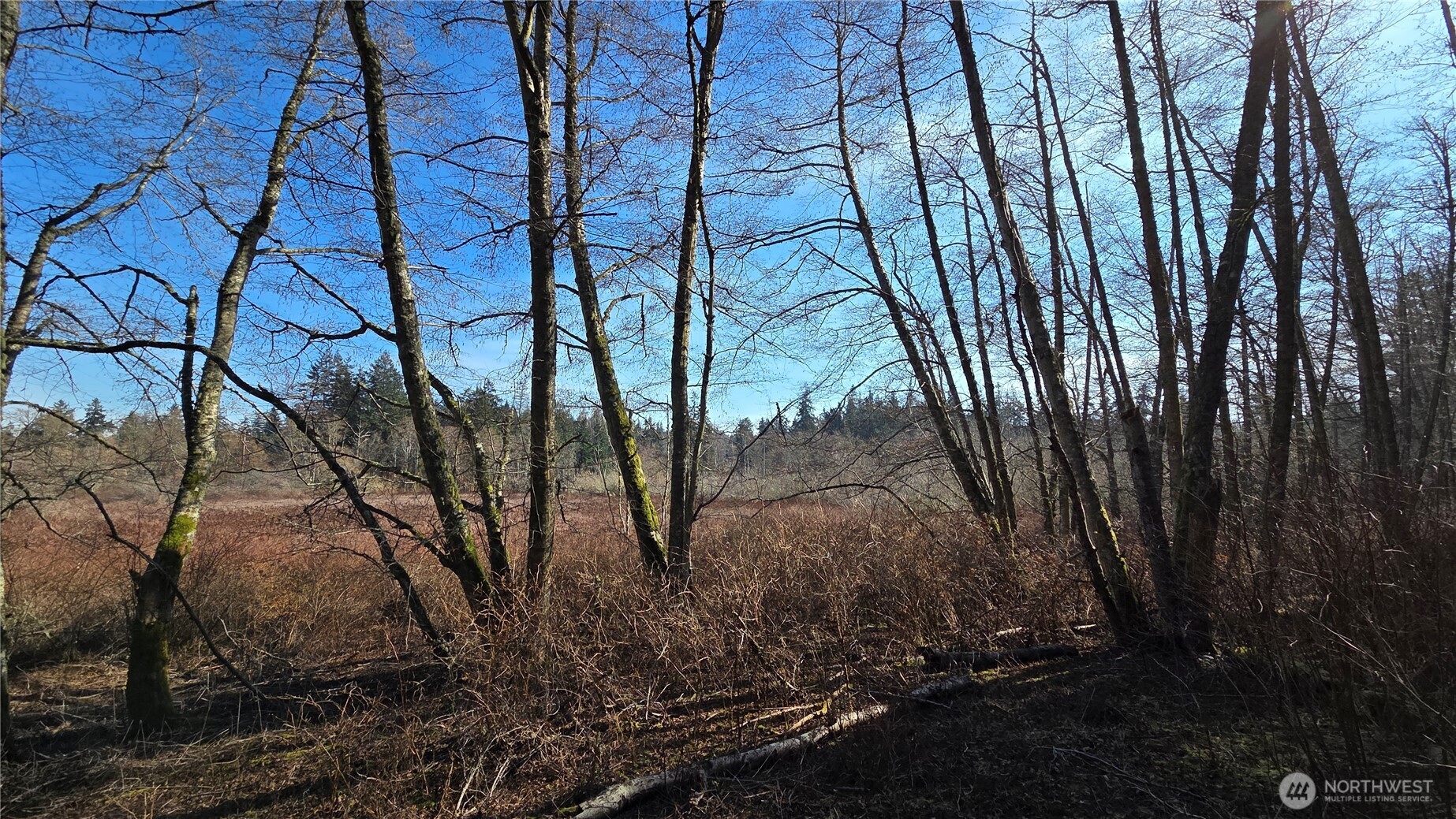 5707 Woodard Avenue Freeland WA 98249