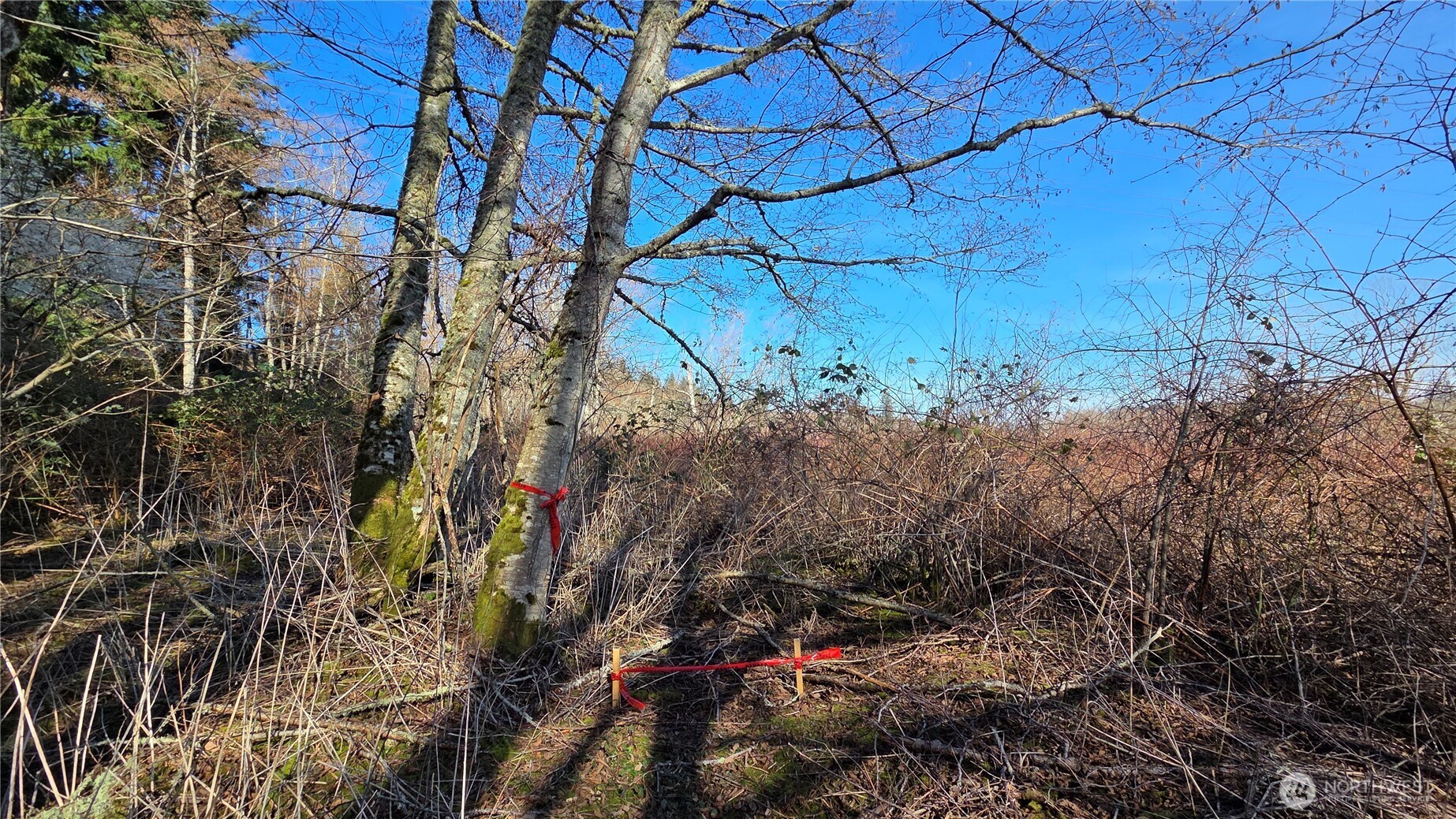 5707 Woodard Avenue Freeland WA 98249