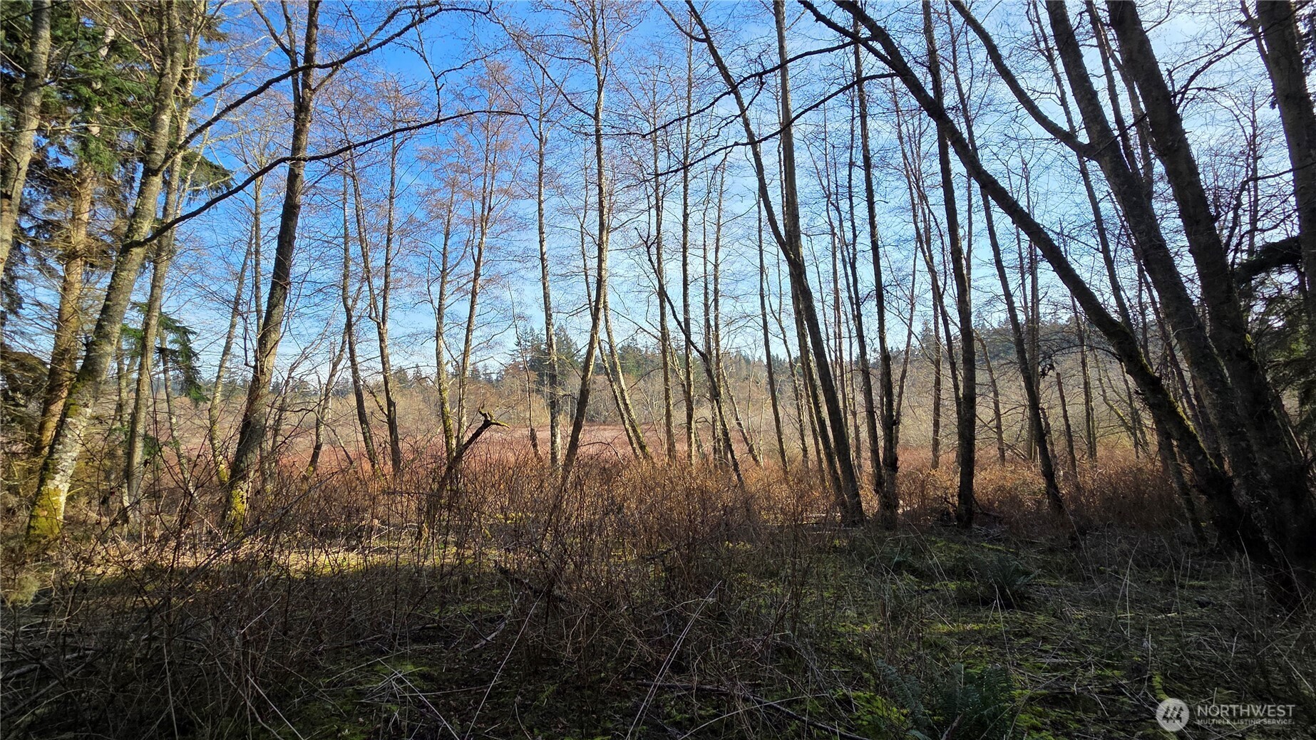 5707 Woodard Avenue Freeland WA 98249