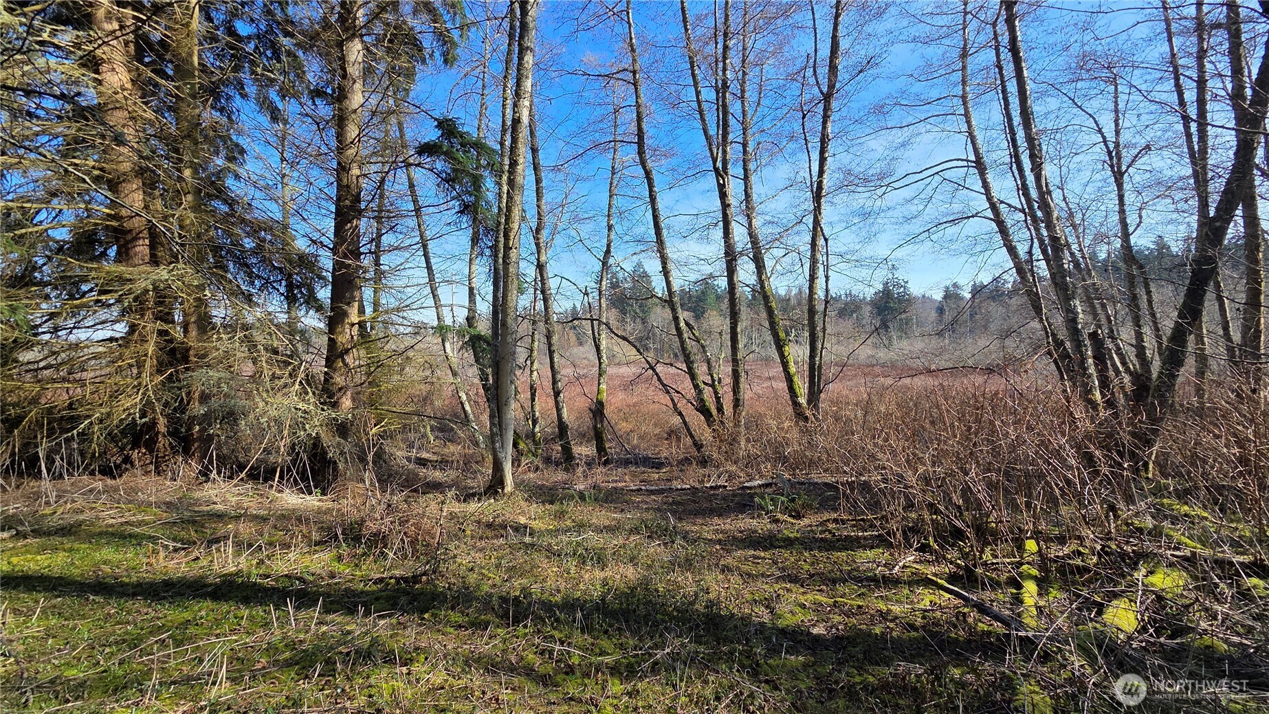 5707 Woodard Avenue Freeland WA 98249