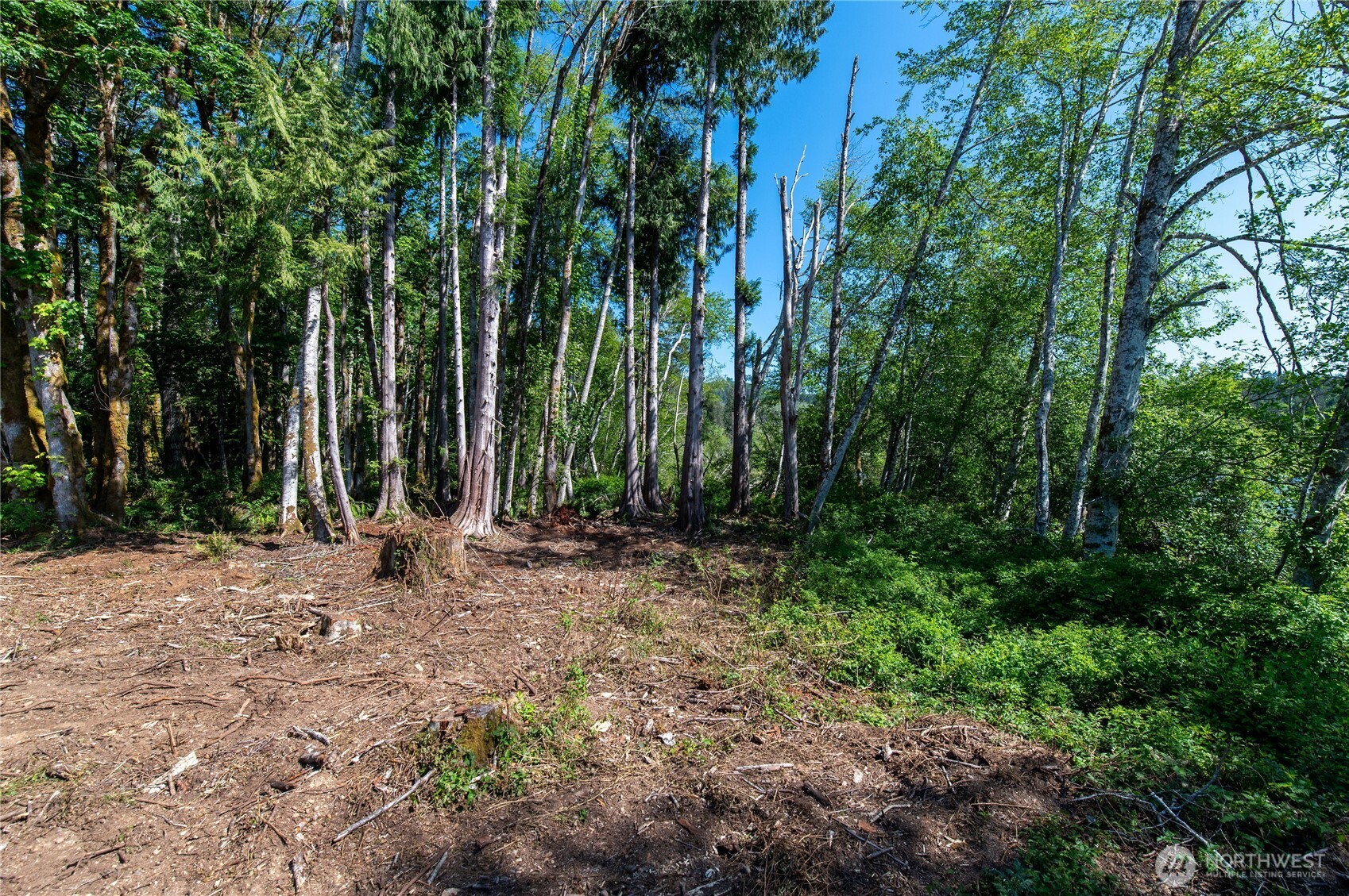 0 Gold Creek Road Bremerton WA 98312