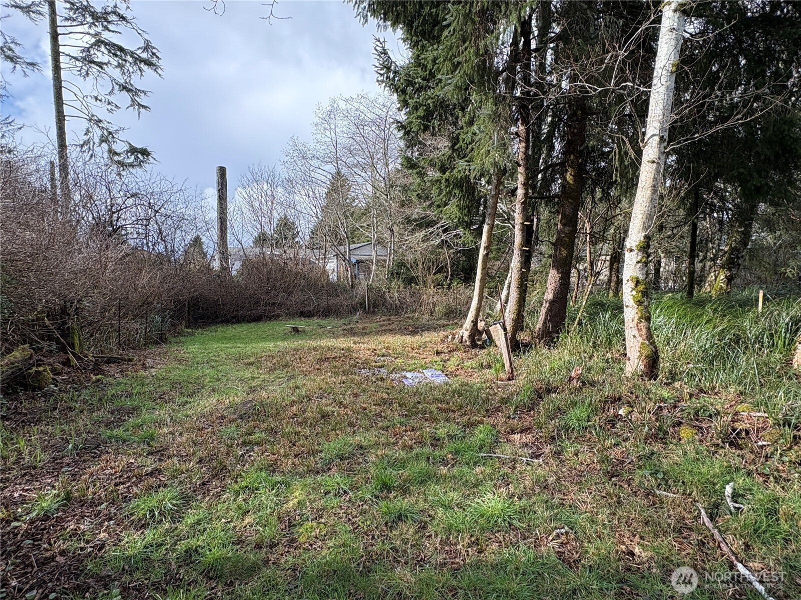 681 Duck Lake Drive NE Ocean Shores WA 98569